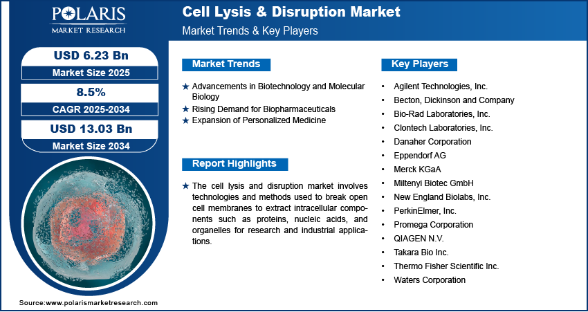 Global Cell Lysis & Disruption Market Share, Size